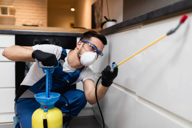 Best Pest Prevention Services  in Auburn, MI
