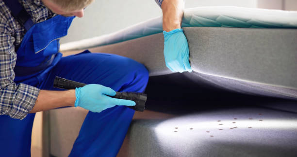 Best Local Pest Control Services  in Auburn, MI