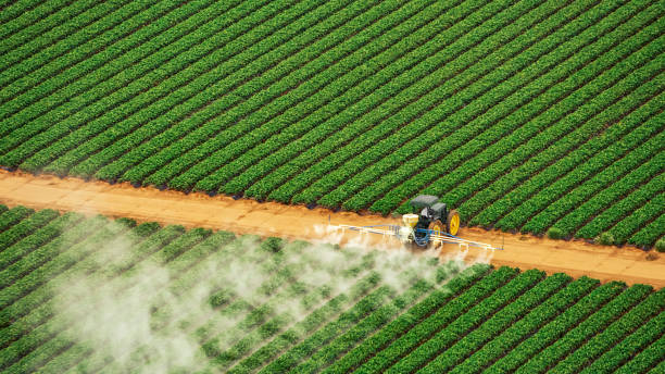 Best Commercial Pest Control Services  in Auburn, MI
