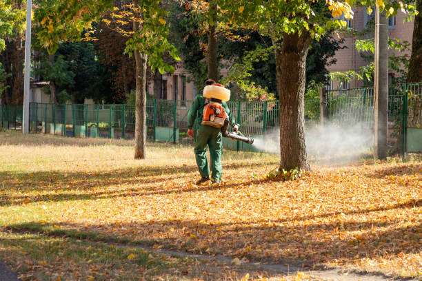 Best Wildlife Control Services  in Auburn, MI
